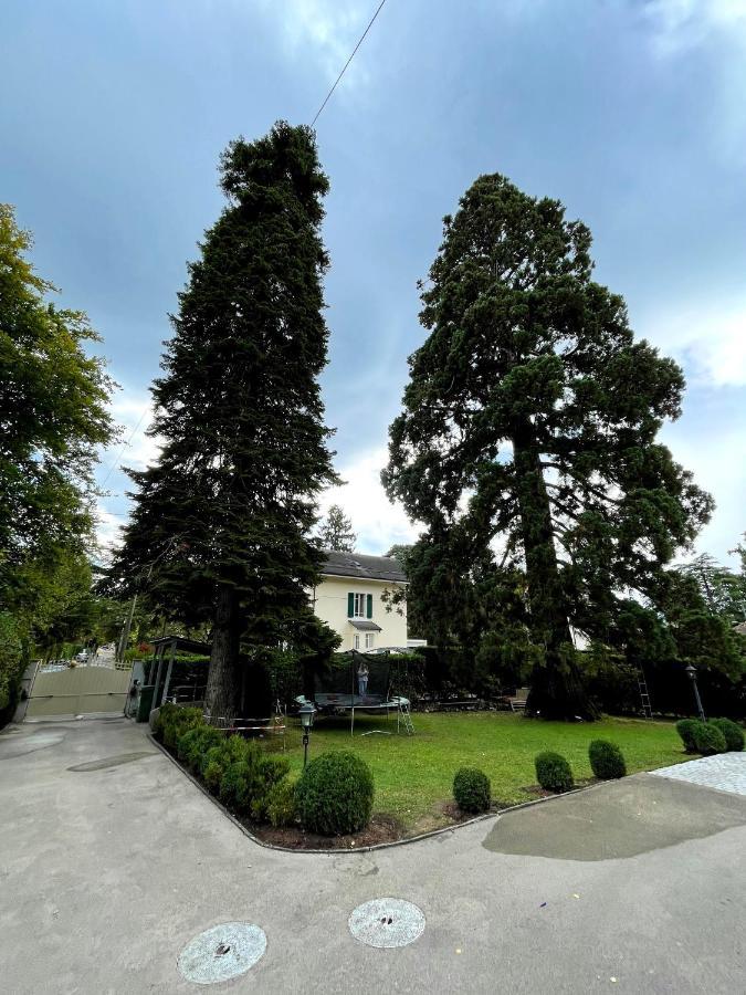 Residence Mont-Blanc Genève Eksteriør billede